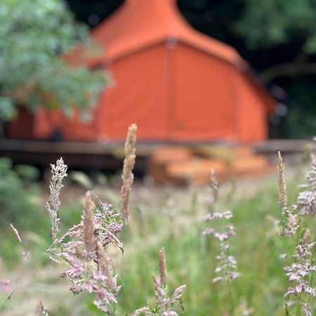 Rode Bell Achter Duin Hotel 't Horntje Buitenkant foto