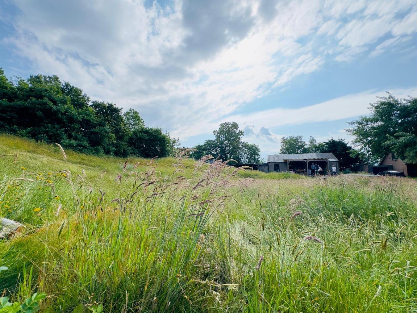 Rode Bell Achter Duin Hotel 't Horntje Buitenkant foto